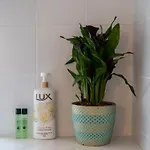 Apartment Simple Pleasures *