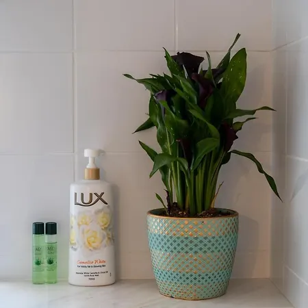 Appartement Simple Pleasures *